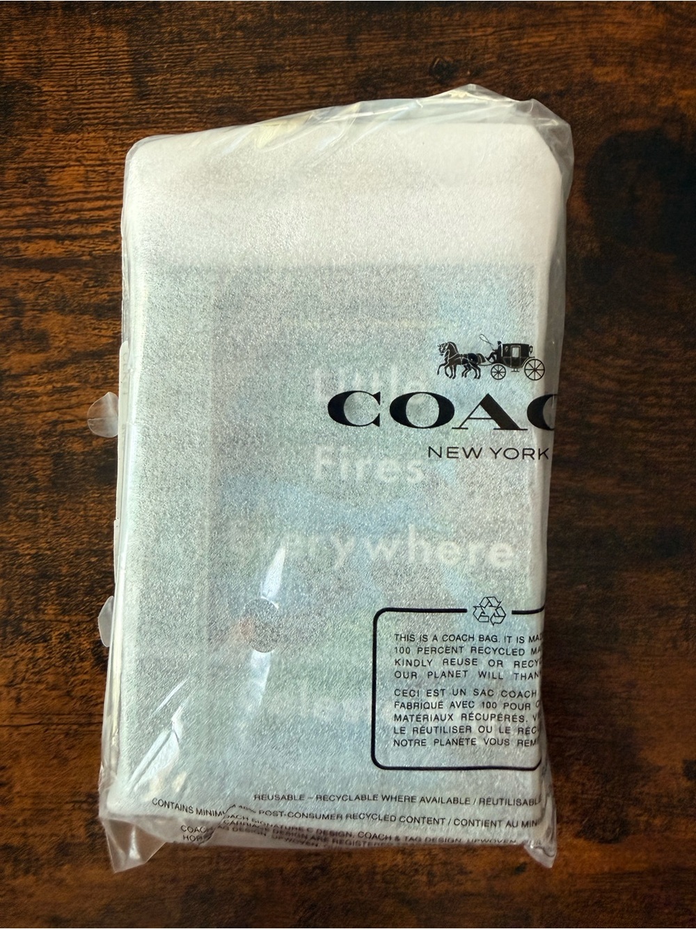 Coach Book Charm- Little Fires Everywhere By Celeste Ng Book Bag Charm
